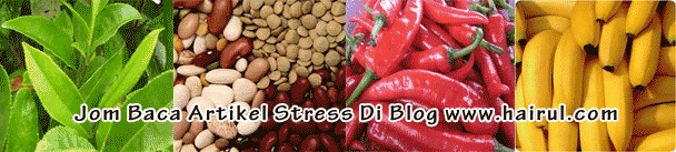 makanan stress